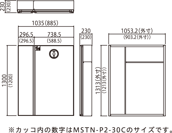 MSTN-P2-20C