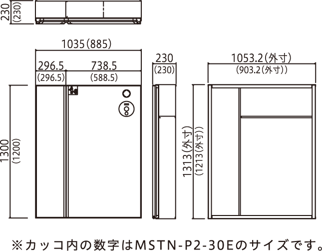 MSTN-P2-20E